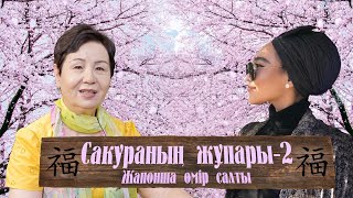 Сакураның жұпары 2 Жапонша өмір салты