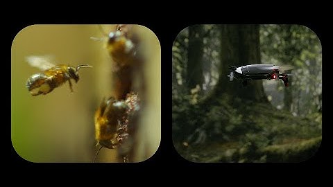 Enhancing optical-flow-based control by learning visual appearance cues for flying robots