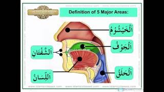 Articulation Points of Arabic Alphabet Letters - Learn Tajweed Rules Makharij al Huruf