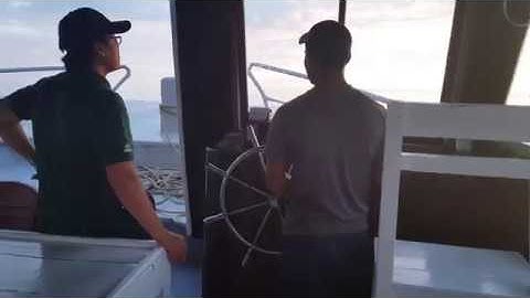 Thuê tàu câu mực phú quốc - Tổ chức tiệc hải sản