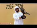 2026 بطولة فزاع للصيد بالصقور التلواح العامة مفتوح جير شاهين 