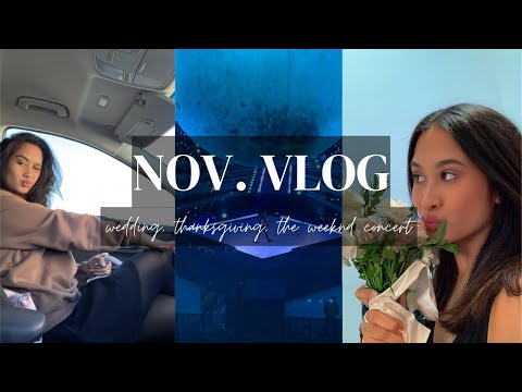 the last two weeks of november vlog | wedding, thanksgiving, and the weeknd concert