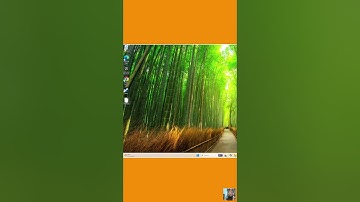 How to Open .DAT File on Windows 11/10/8/7 PC Easily