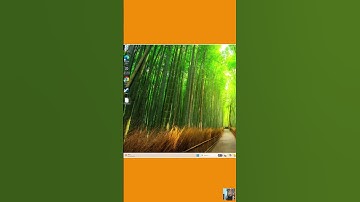 How to Open .DAT File on Windows 11/10/8/7 PC Easily