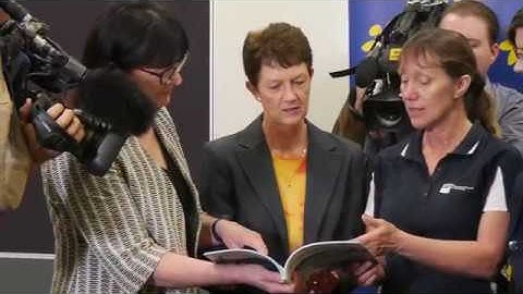 Kerrie Mengersen named a Fellow by Australian Academy of Science