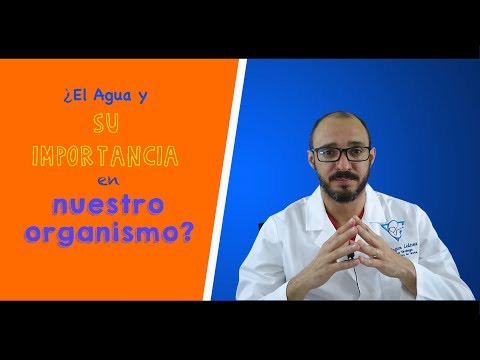 Vídeo: 16 Razones Por Las Cuales El Agua Es Importante Para La Salud Humana