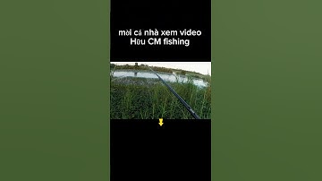 câu cá lóc đầm rau muống #shorts #fishing #cauca #mientay #nature #huucmfishing #fishinglife
