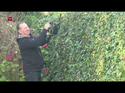 Kapsalon in Almere Poort onder vuur genomen