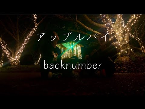 アップルパイ / Backnumber 弾き語ってみた