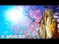 3 Horas de Paz con Jesús ♪ Melodía con Sonidos Naturales ❤Dormir, Orar, Descansar