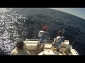 Yellowfin onboard ru4reel charters