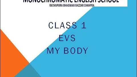 #class 1 EVS - My Body
