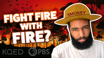 Can THIS Technique Control Wildfires?