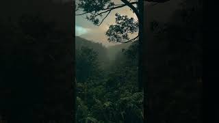 Find your inner peace in quiet corners of the earth #NatureLovers #Peaceful #EchoesOfNature #Shorts