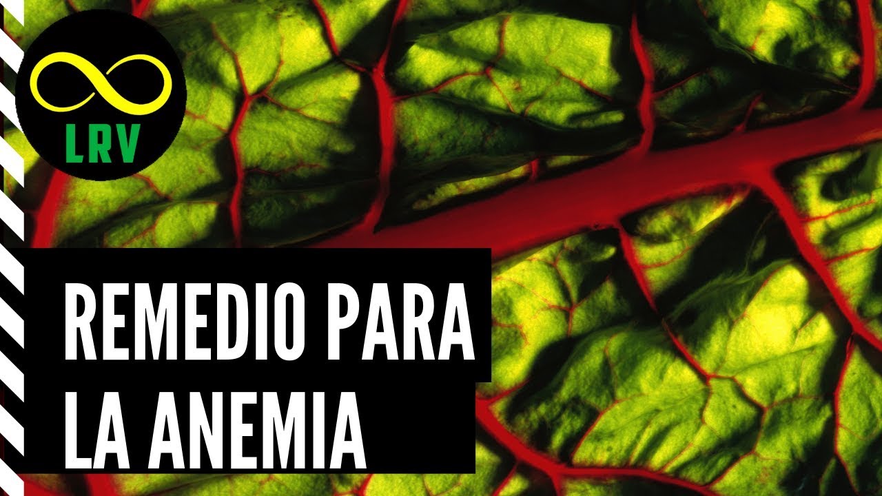 REMEDIO PARA PREVENIR LA ANEMIA - LaRutaVerde remedios naturales para la artritis