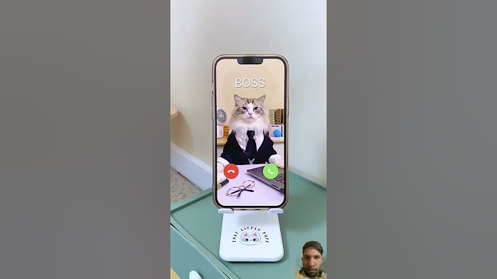 Puff 's guide on handling weekend calls from the boss please #subscribe #mychannel #cat #viralvideo