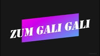ZUM GALI GALI (Israeli folk song)