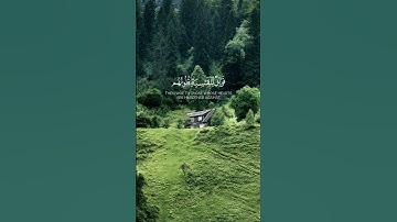 ماتيسر من سورة الزمر بصوتٍ رقيقٍ عذب ♥️🌿