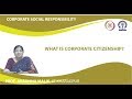 What is Corporate Citizenship?