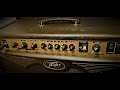 peavey vypyr 120 tube head sound demo