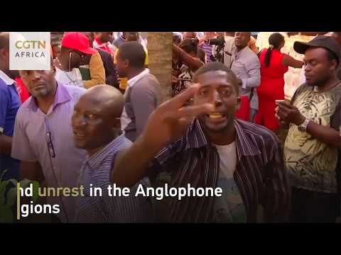Cameroon Elections Report