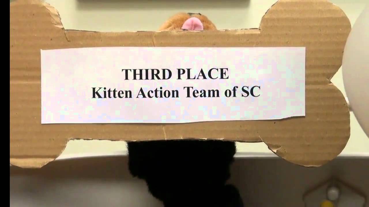 Big Apple Pet Supply $3000 Shelter Race Winners