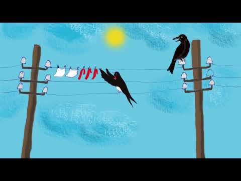 ვასო გულეური - მერცხლის ბარტყი და ყვავის ბახალა