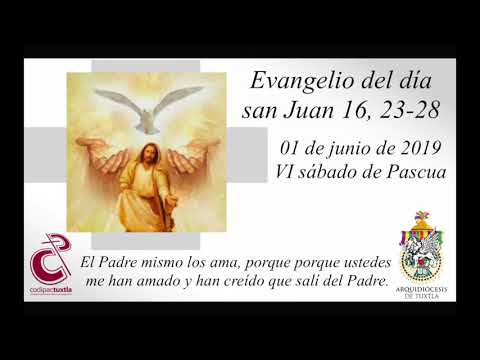 Evangelio Del Dia San Juan 16 23 28 Vi Sabado Pascua 1 Junio De
