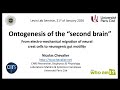 "Ontogenesis of the second brain" by Nicolas Chevalier