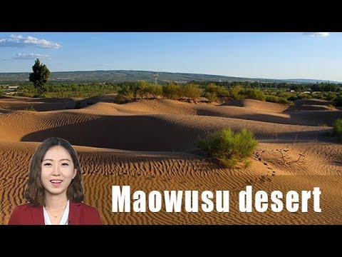 Miracle in Maowusu desert no coincidence