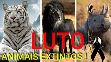Quais as consequências de uma extinção para o ambiente?