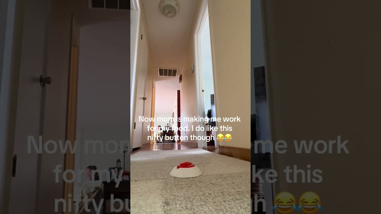 @chadwickreed: Мама всячески пытается заставить меня есть помедленнее 😂 