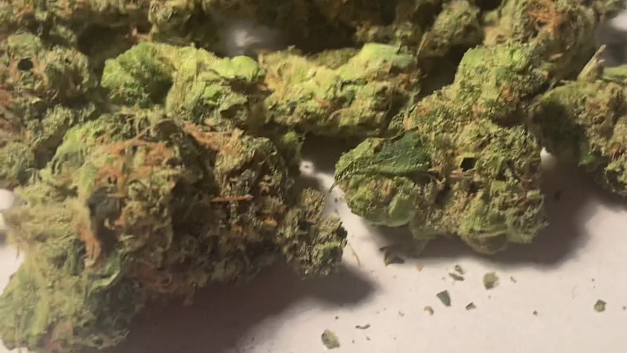 Orange 43
