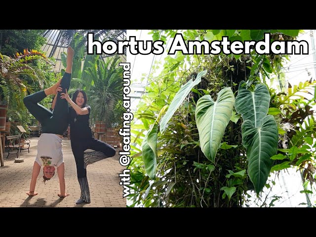 Botanical gardens of Amsterdam - with @leafing.around! | Plant with Roos -  YouTube