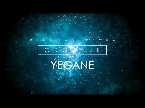 Erkan Güleryüz - Yegane (Lyrics Video)