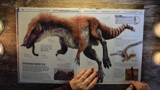 ASMR Dinosaur! Encyclopedia 2nd look, whispered reading and tracing screenshot 5
