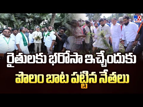 రైతులకు భరోసా ఇచ్చేందుకు పొలం బాట పట్టిన నేతలు | Cyclone Montha - TV9 - TV9