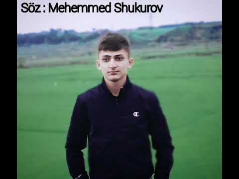 Mehemmed Shukurov / Şeir 2021 / \