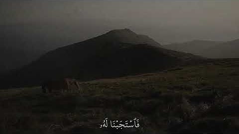 تلاوة مريحة للأعصاب من سورة الأنبياء❤️🥹