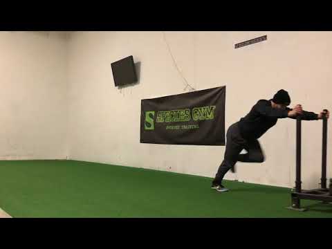 Sled Push/Pull