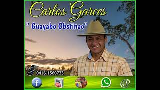 Carlos Garces...Guayabo obstinao