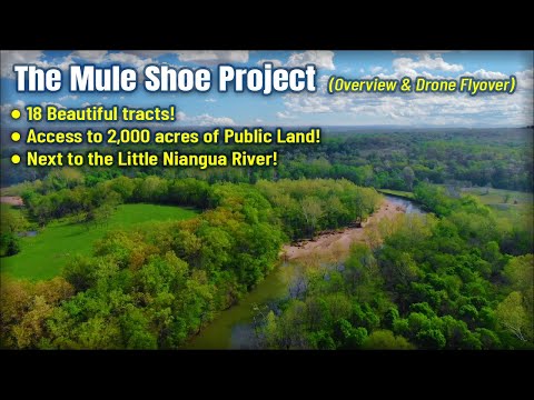 Beautiful Owner Financed Land for Sale in Missouri - The Mule Shoe Project (Links Below)