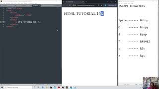 Step-by-step examples of how to use escape characters in your HTML code.