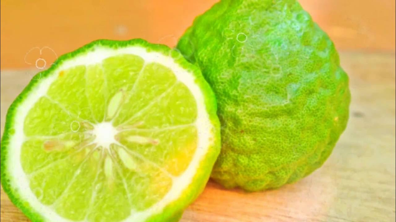 Бергамот бергамия. Чай с бергамотом что такое бергамот. Бергамот как заваривать. Бергамот монарда чай. Чай с бергамотом.