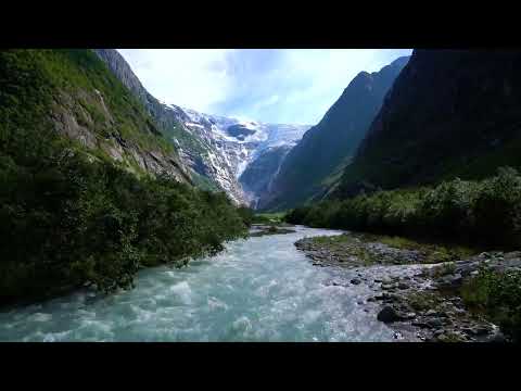 قصيدة ولما قسى قلبي للإمام الشافعي أداء صوتي ولاء الجعبري هندسة صوتية شادي