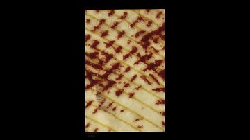 close up objects quiz#shorts  macro video