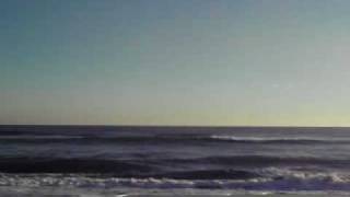 20100124.AVI