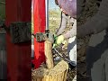 Vertical Log Splitter #logsplitter #firewood