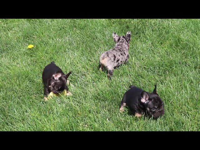 Brianna video thumbnail