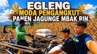 ( EGGLENG,) ALAT ANGKUT PERTANIAN ANDALAN || PANEN mbk RIN .FUL SENYUM..